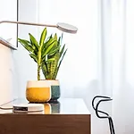 Apartamento Guestready - Charming Cozy Getaway In *